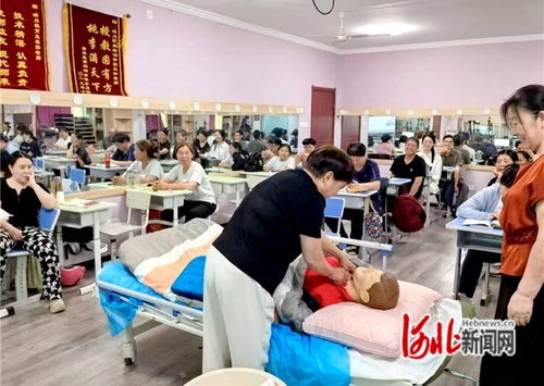 石家莊市橋西區(qū) 抓實技能培訓，賦能職工就業(yè)——市場調查服務助力就業(yè)新路徑