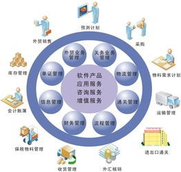 NetSuite 解決傳統(tǒng)計算機(jī)系統(tǒng)服務(wù)無法觸及的痛點(diǎn)
